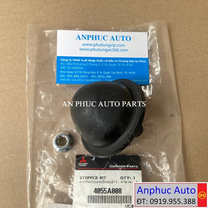 Cao su tăm bông càng a dưới Ssangyong-4055A008.JPG